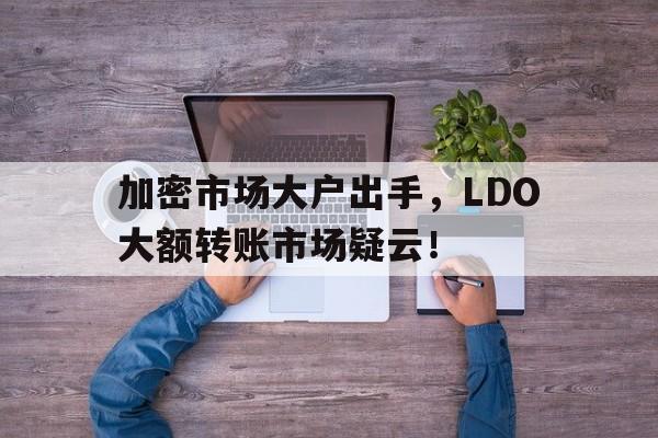 包含加密市场大户出手，LDO大额转账市场疑云！的词条